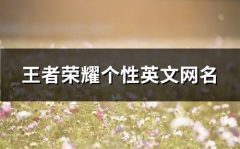 个性英语网名,精选个性英语网名解析与应用