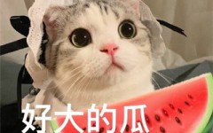 最近吃瓜事件2021吃瓜事件汇总