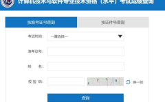 高级职称成绩查询入口,轻松获取职称评定结果
